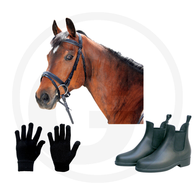 Artikelen Voor Paard En Ruiter