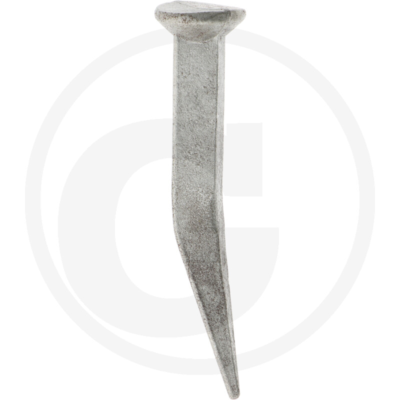 Roto Attached Eggetooth avec collier