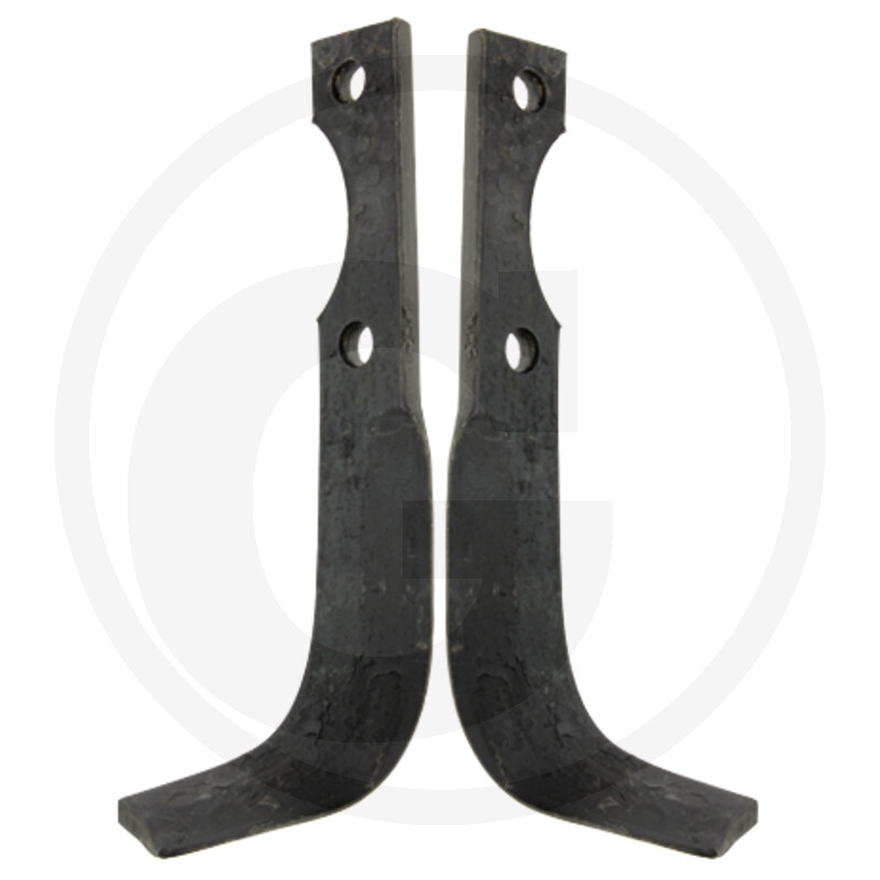 Grillo (Pinza)
