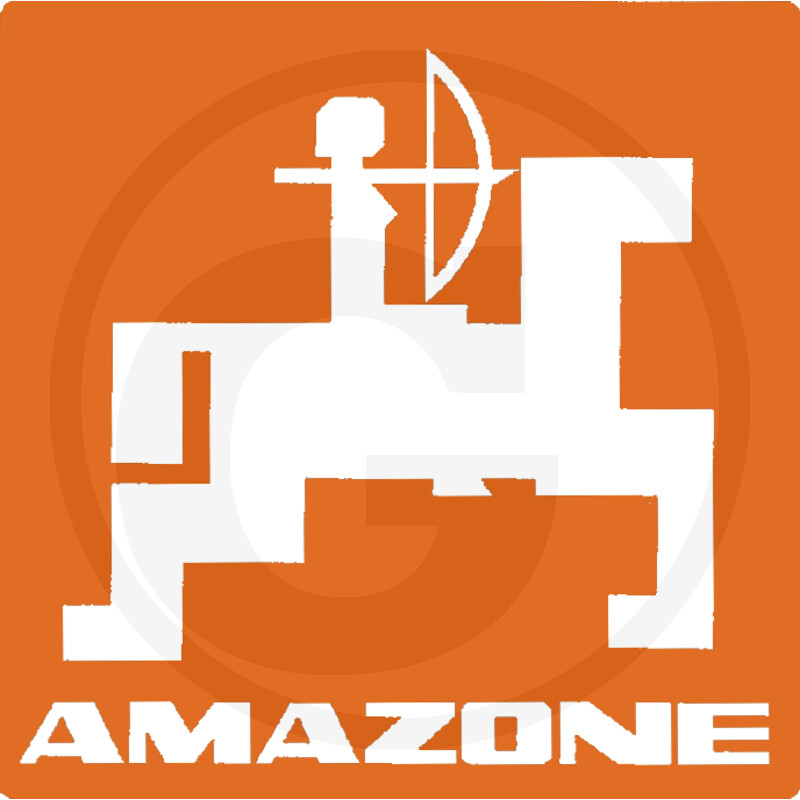 Amazone original
