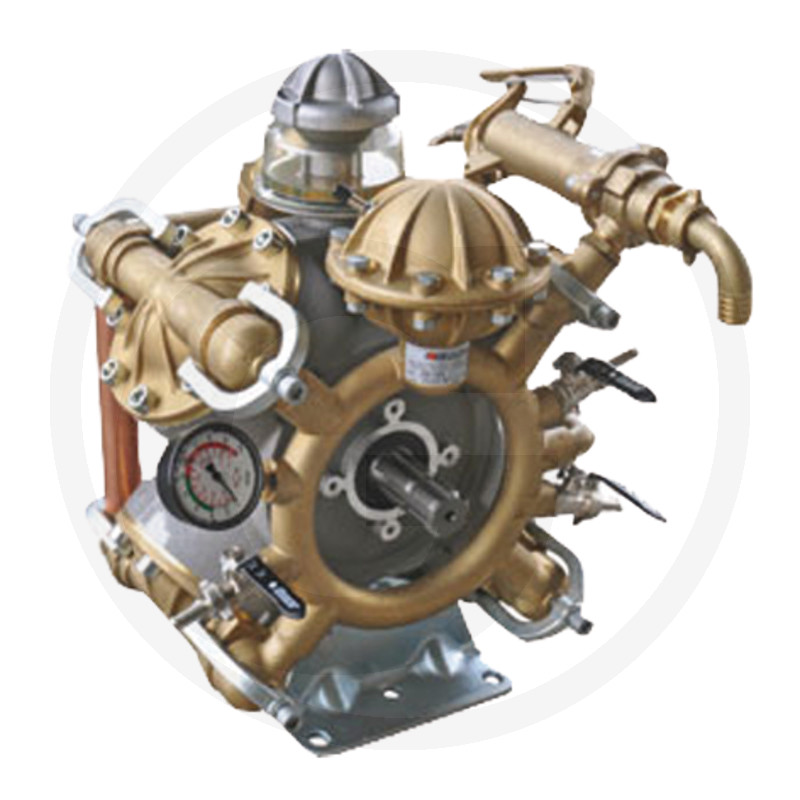 Pompe à membrane à piston