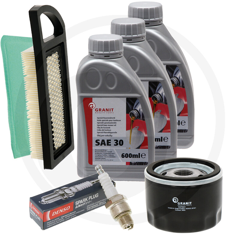 Passend voor Briggs & Stratton