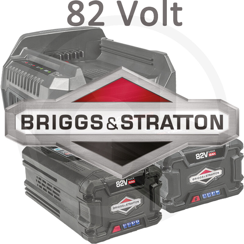 Briggs & Stratton