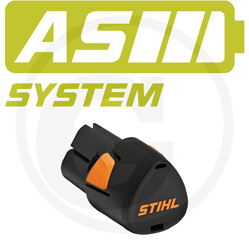 AS-systeem