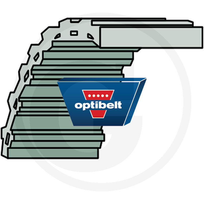 Courroies OPTIBELT Doppelzahn