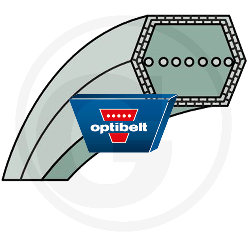 Courroies doubles trapézoïdales OPTIBELT (hexagonales)
