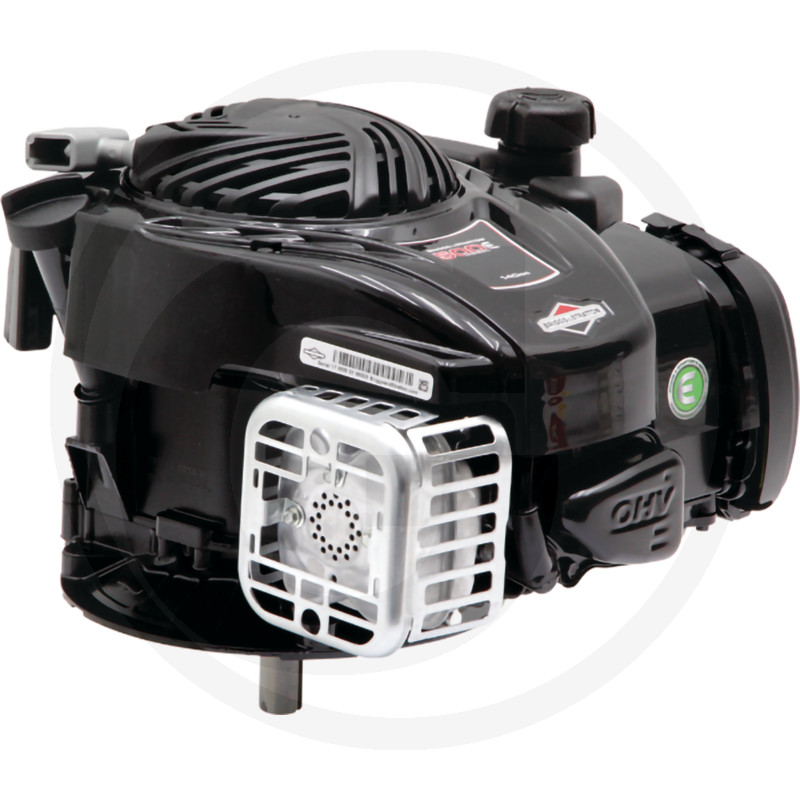 Briggs & Stratton