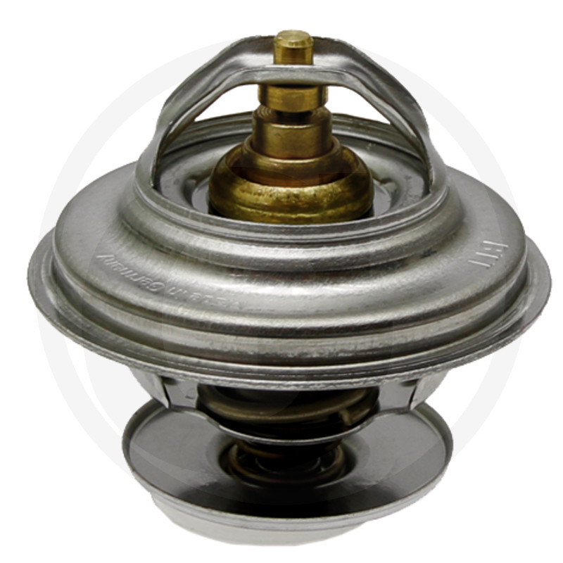 Thermostaten