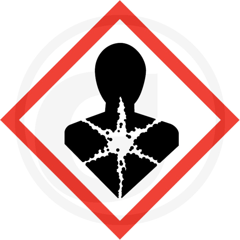 Antigel du radiateur P11