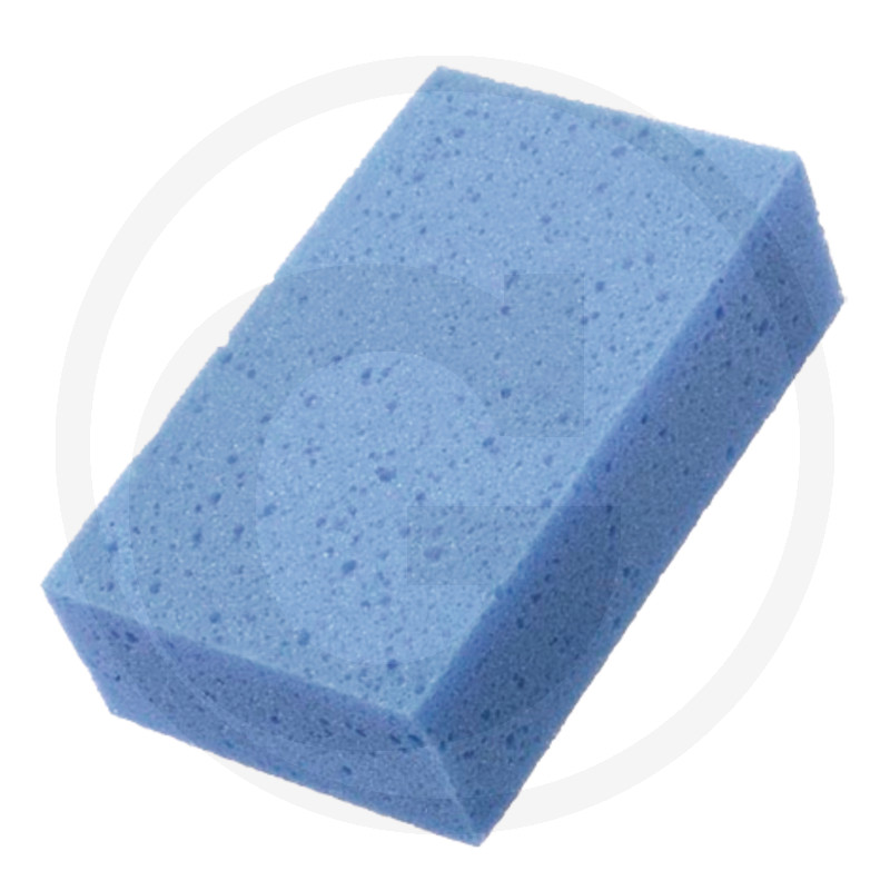 Blauwe tegelspons