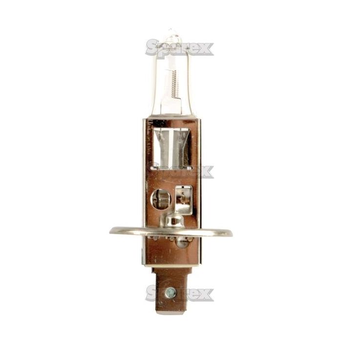 Gloeilamp, 12V, 50/40W Watts, P36d Voet