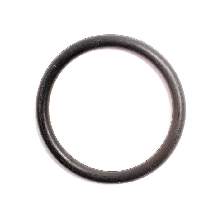O-ring 1/8'' x 1 5/16'' 70 shore (BS219)