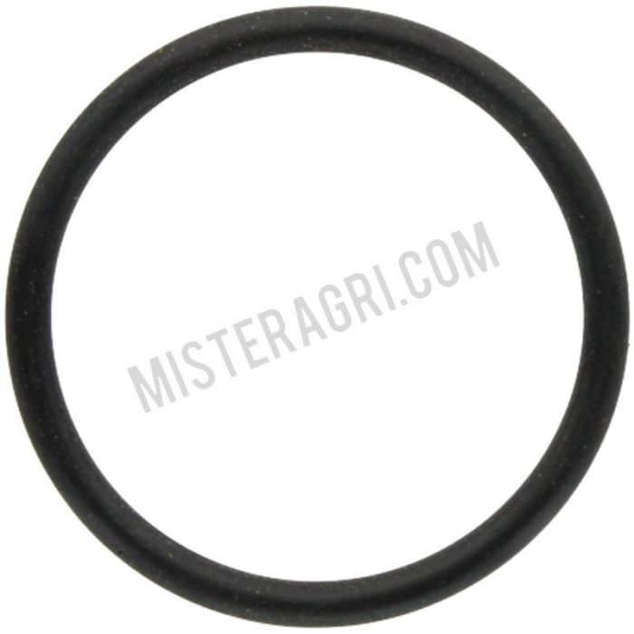 O-Ring - Regelstift O-Ring - Regelstift