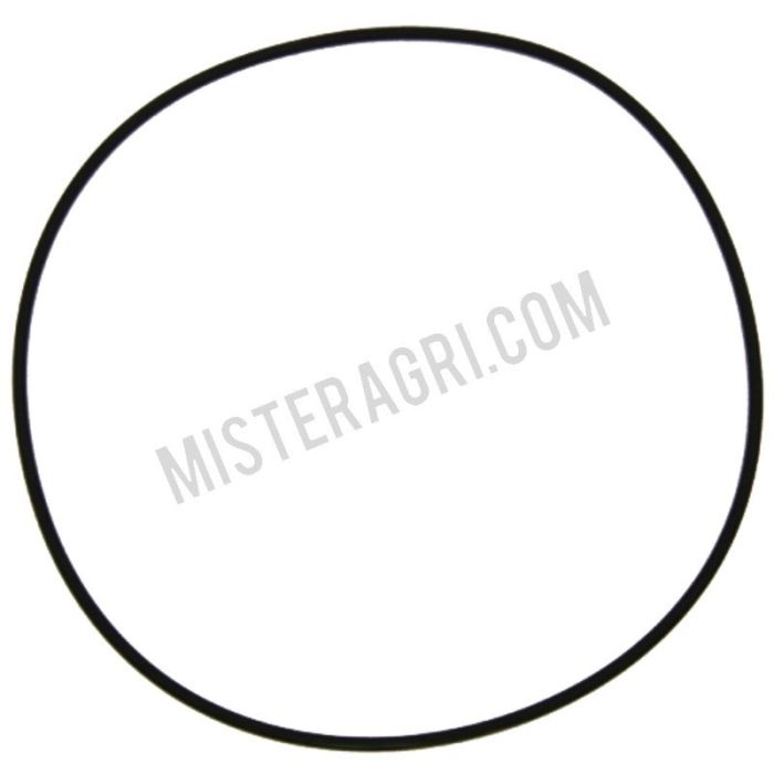 O-ring - vliegwielzijde O-ring - vliegwielzijde