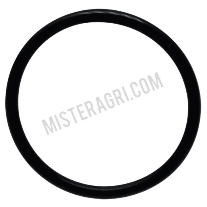 O-ring O-ring
