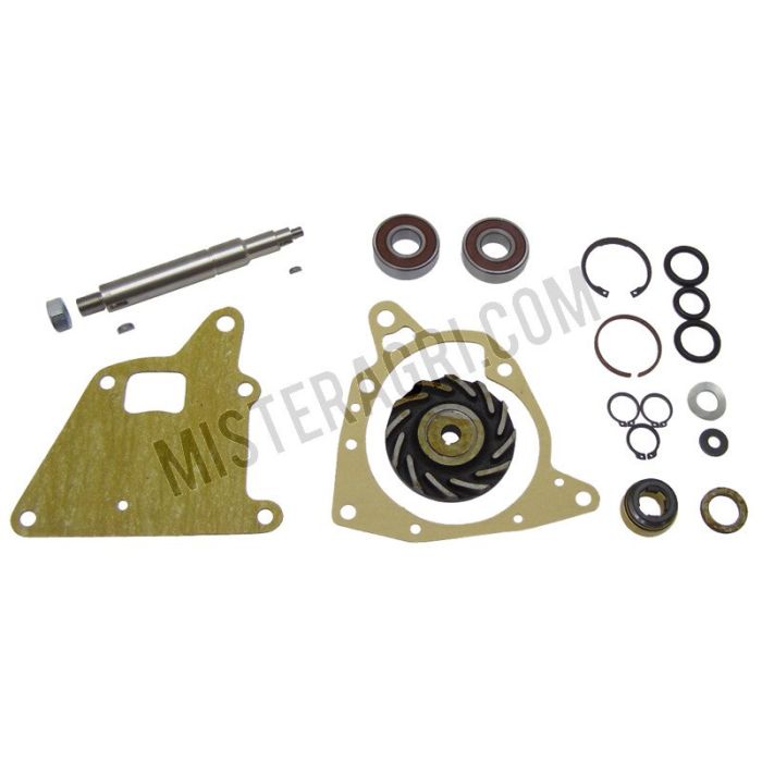 Kit de réparation pour pompe à eau - avec roulement