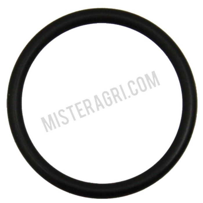 O-Ring - Gehäusedeckel