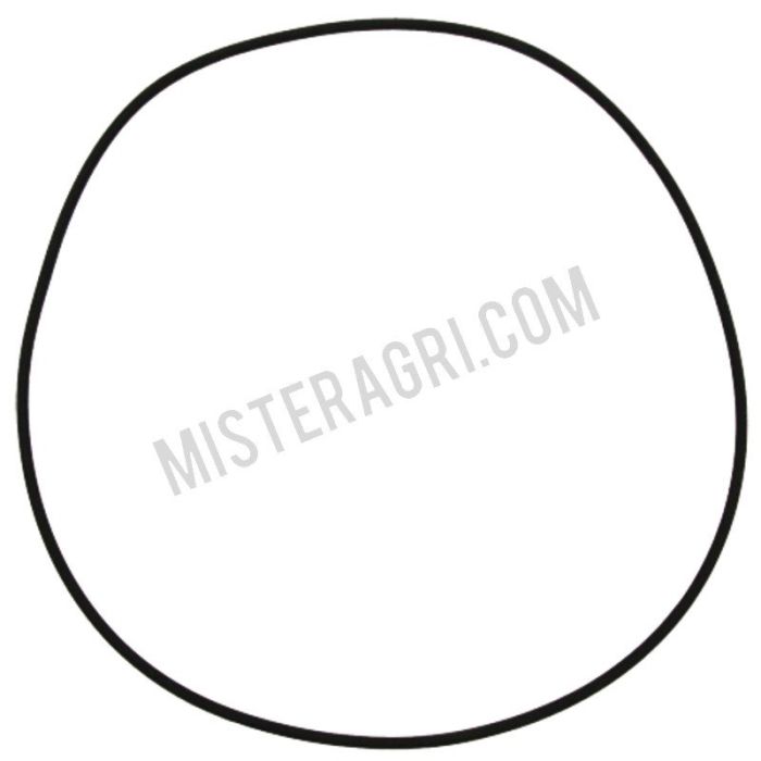 O-Ring - Gehäusedeckel