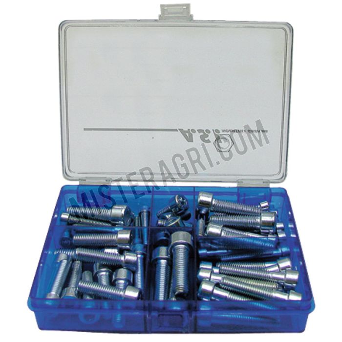 Assortiment Binnenzeskantbout
