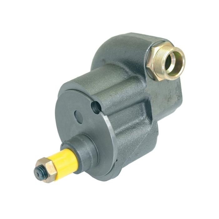 Motoroliepomp