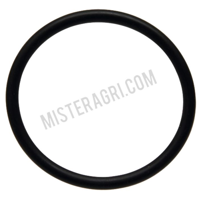 O-ring