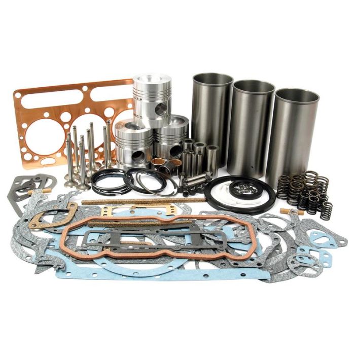 Motor Revisieset - AD3.152 MF Motor Revisieset - AD3.152 MF