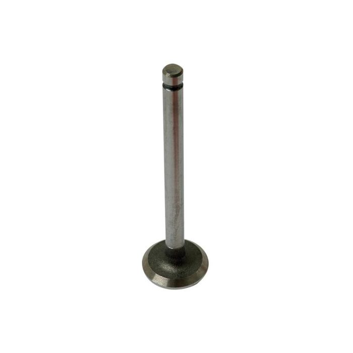 soupape d'échappement Standard