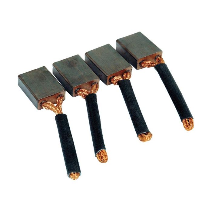 Kohlebürsten-Set