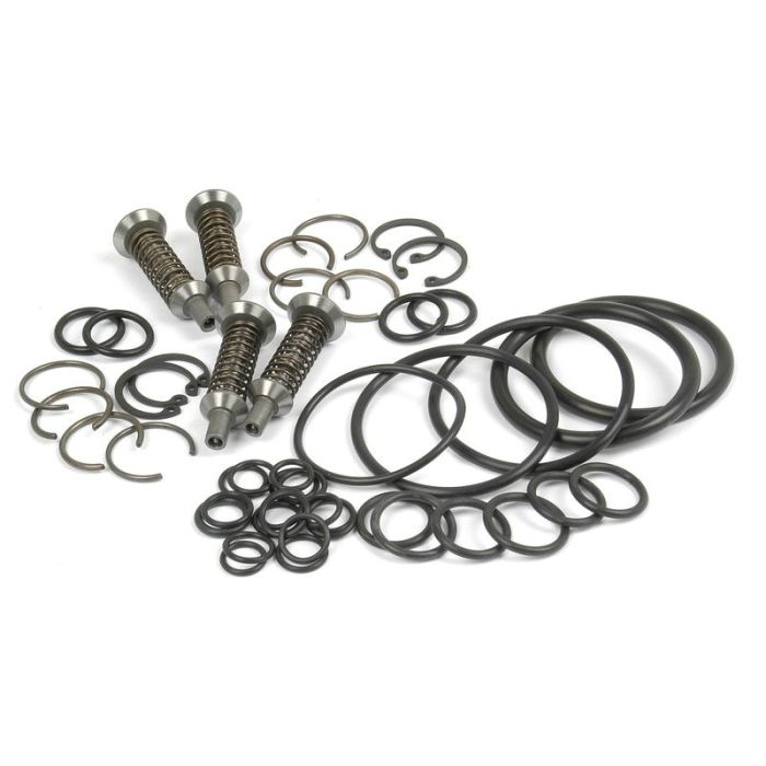 Ventil & O-Ring-Kit