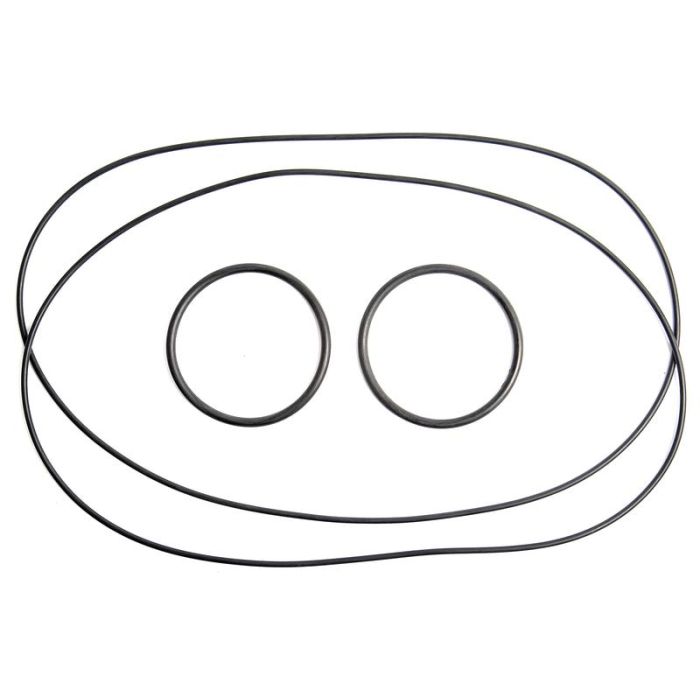 O-ring set remmen Massey Ferguson