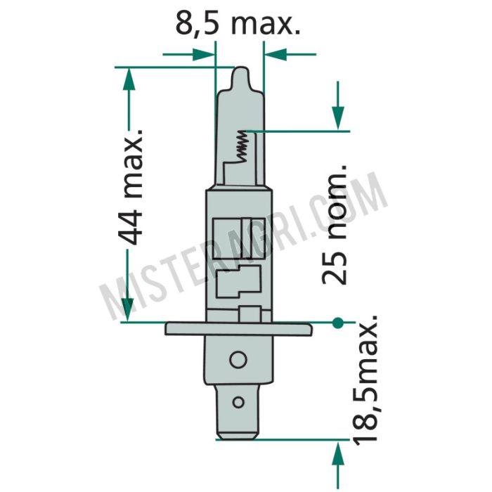 Halogeenlamp, 12V 55W, H1 - 12V55W / H1