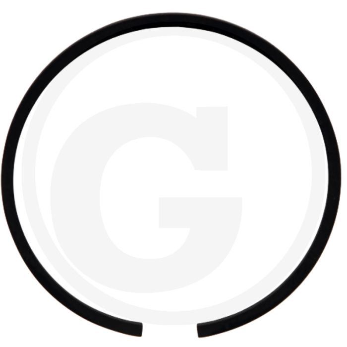 Dichtungsring