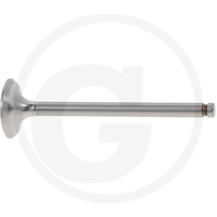 Auslassventil Auslassventil