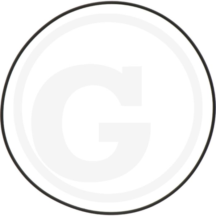 Carraro O-RING 125x2 - Carraro O-RING 125x2 -