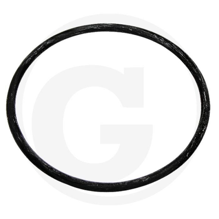 ARAG O-ring