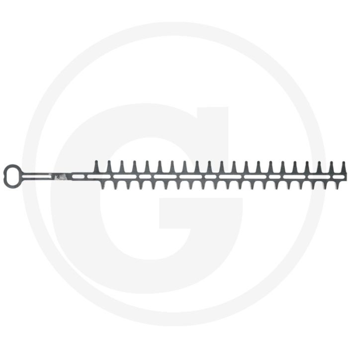 Heggenschaarmes Heggenschaarmes