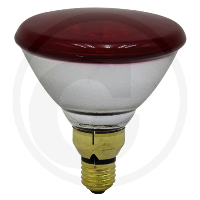 Infrarood-/warmte straallamp - 100 watt