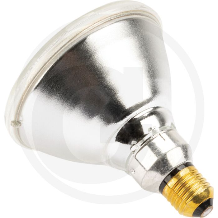 Horizont infrarotlampe 100 w klar - starkes hartglas, 5000 stunden lebensdauer