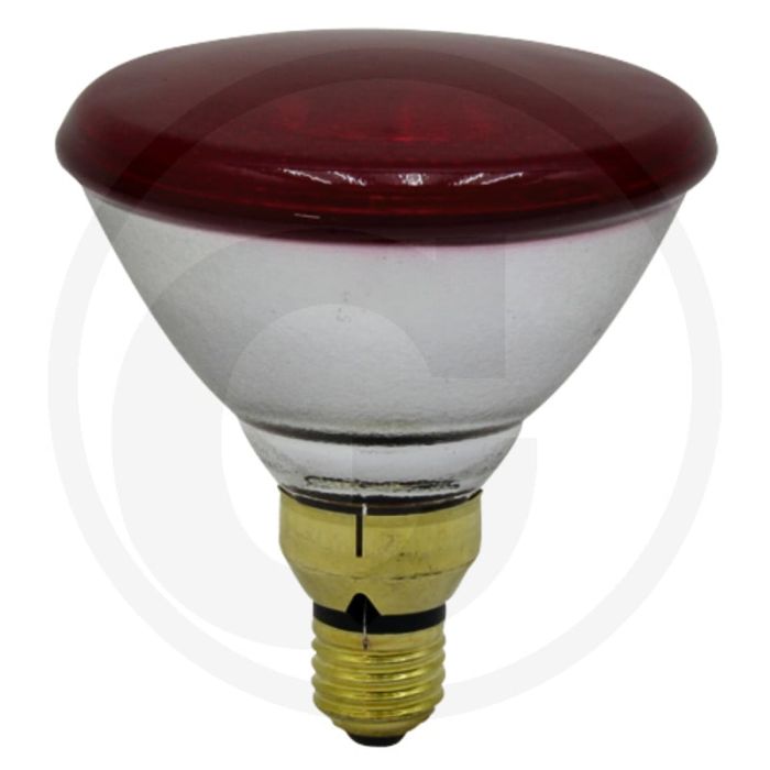 Infrarood-/warmte straallamp - 175 watt