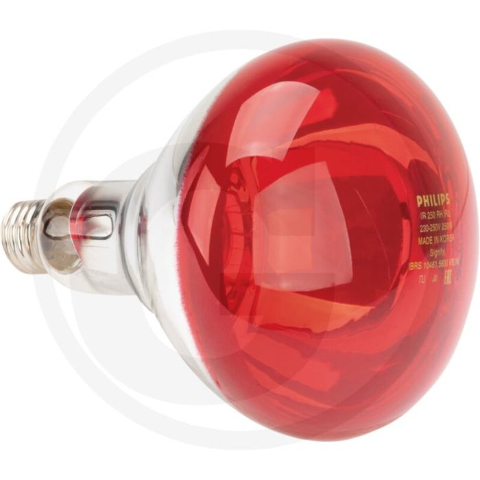 Horizont infrarotlampe 250 w rot - hartglas für robuste bauweise