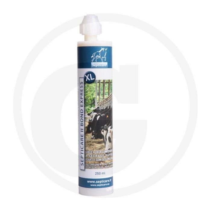 Horizont speciale lijm 250 ml - sneldrogend en veelzijdig