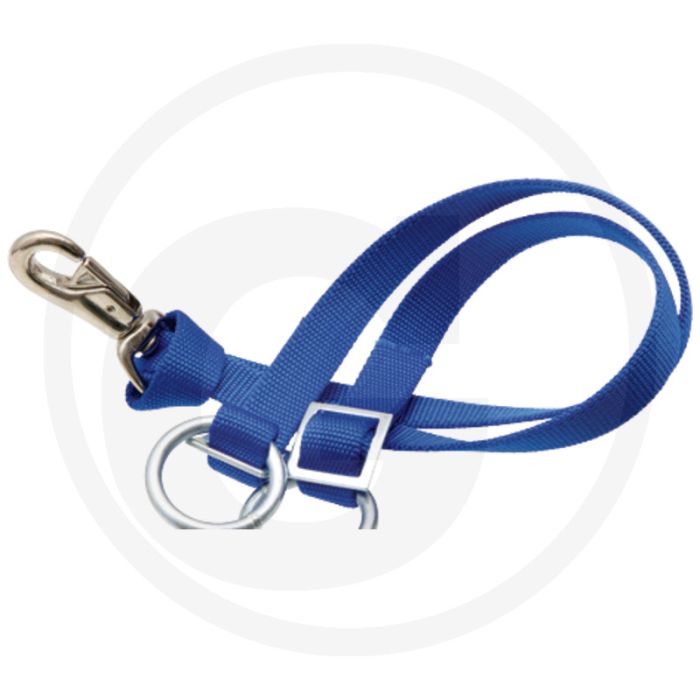 Lijn lijn voor 580580218 - blauw 1650 x 25 mm