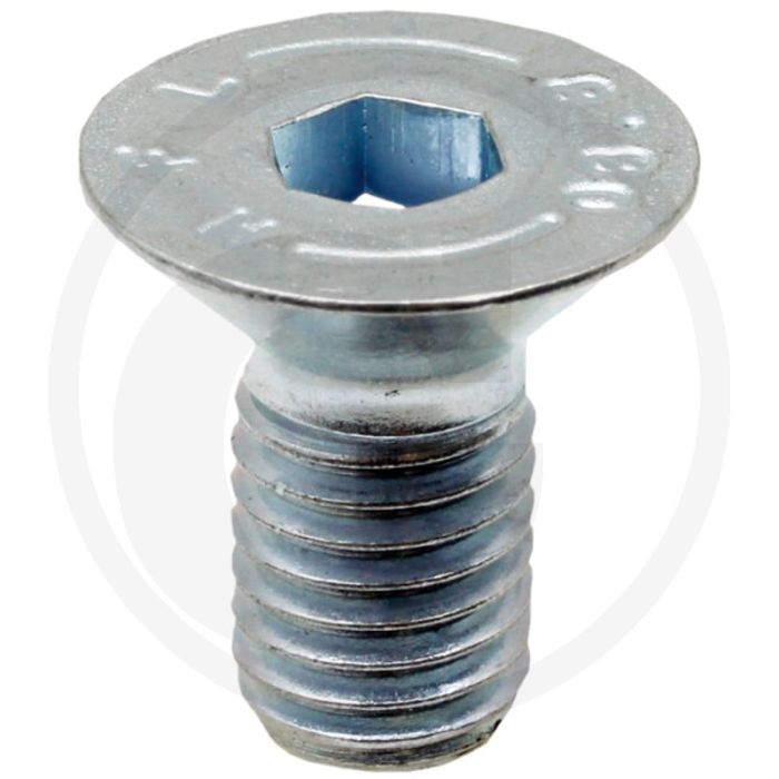 Metaalschroef (vlak) met binnenzeskant, lengte: 25 mm 8.8, draad m12 - 25mm Metaalschroef (vlak) met binnenzeskant, lengte: 25 mm 8.8, draad m12 - 25mm