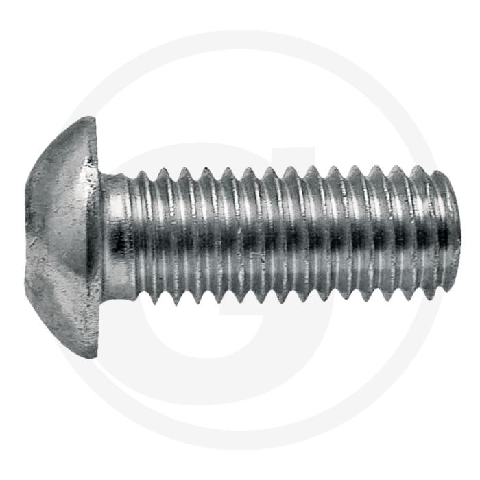 Kopbout binnenzeskant m10 x 25 zk 115.