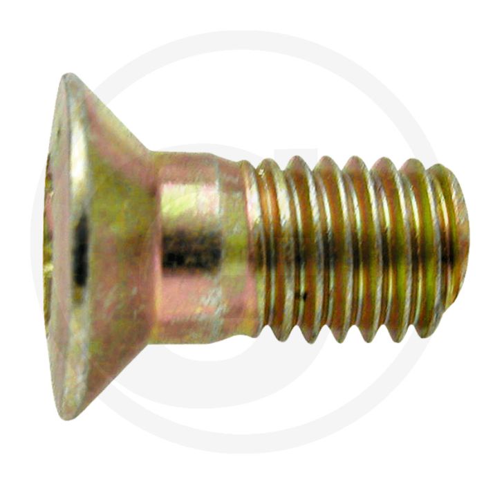 Bout torxbout (tx) m10 x 20 zk 115-195