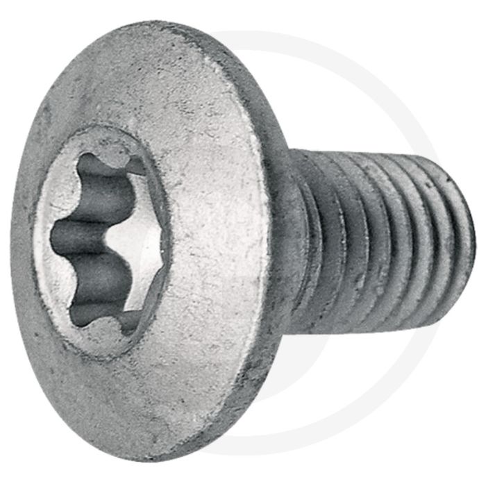 Boulon Torx, 10 x 19 mm (tx) - type : tu 195