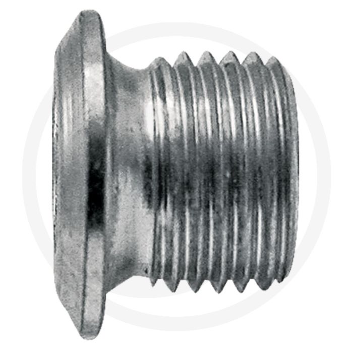 Binnenzeskantbout m16 x 1,5, 15 mm lang - silotopstar 110