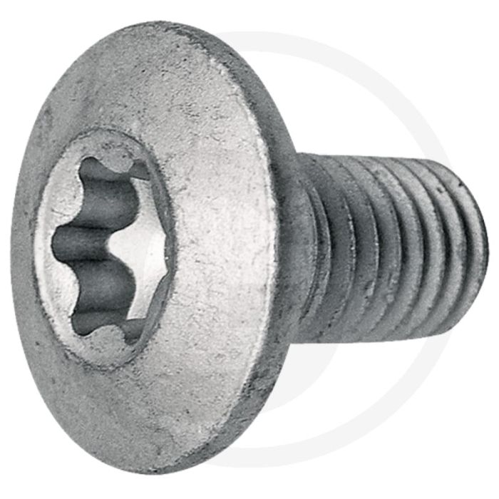 Bout torxbout, 10 x 19 mm (tx) - type: uzs 115