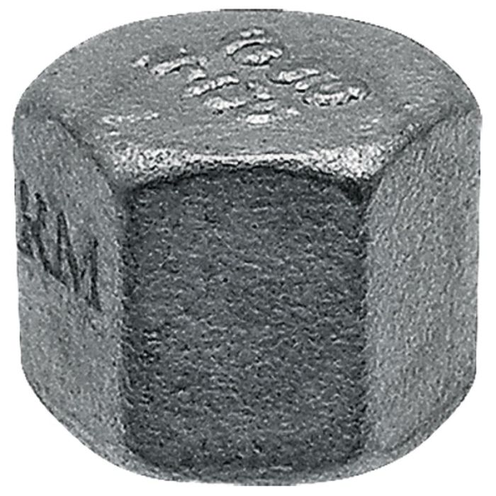 Kap rvs 1 1/2" binnendraad