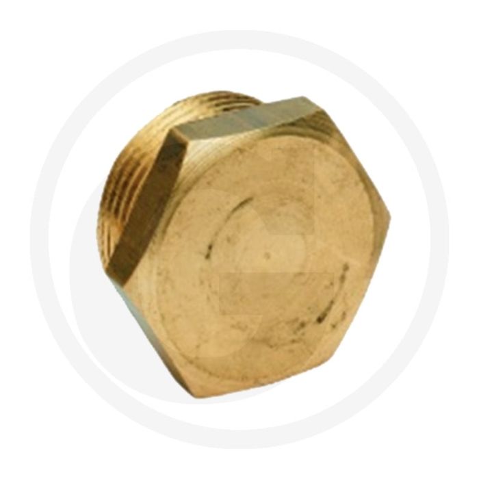 Bouchon d'étanchéité 1/4" laiton bsp